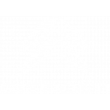 Reprogrammation moteur Bordeaux – Friedrich Motors – Citroen