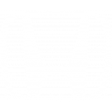 Reprogrammation moteur Bordeaux – Friedrich Motors – Honda